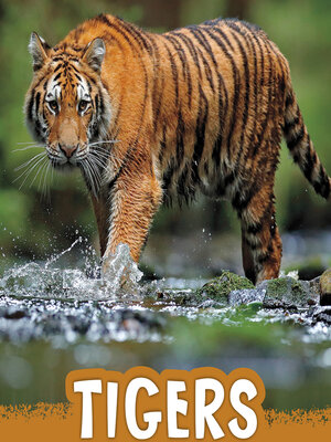 cover image of Tigers